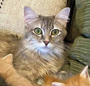 Photo of Zemma