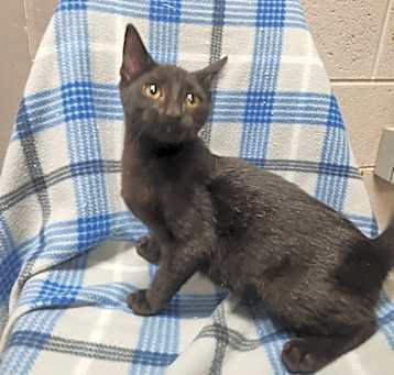 Photo of STORM
