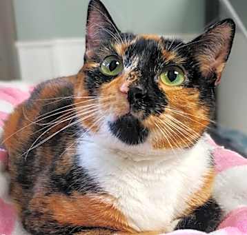 Photo of Darla