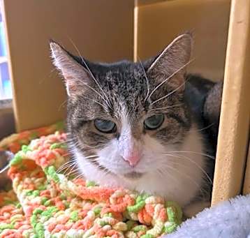 Photo of Squeek