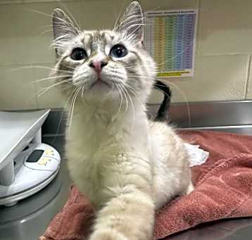 Photo of Theodore