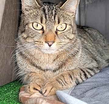 Photo of Hunter