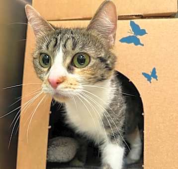 Photo of Sparkle