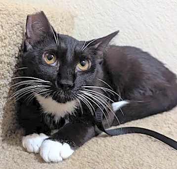 Photo of Maggie 11.16.24