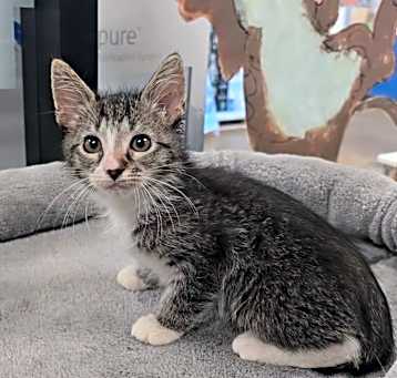 Photo of Monty