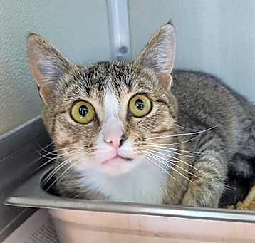 Photo of Meredith