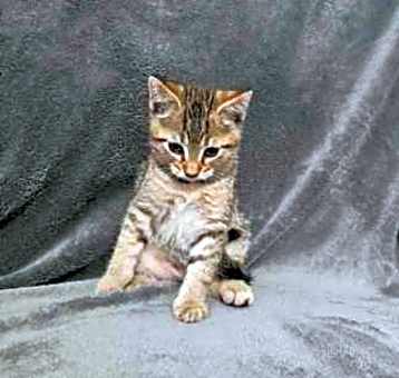 Photo of Coco