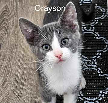 Photo of Grayson