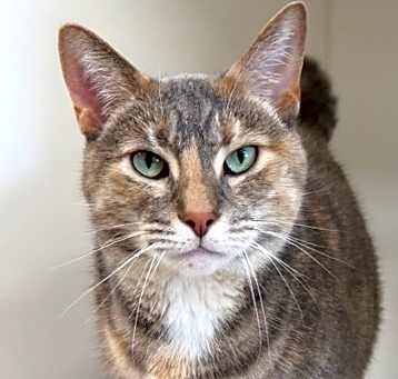 Photo of Jinora