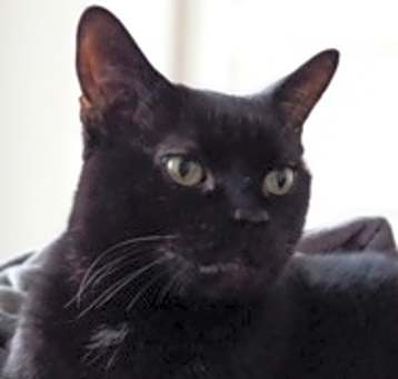 Photo of Toupie