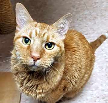 Photo of Jack Jack