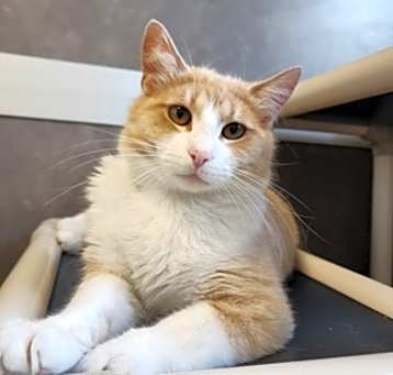 Photo of Calvin