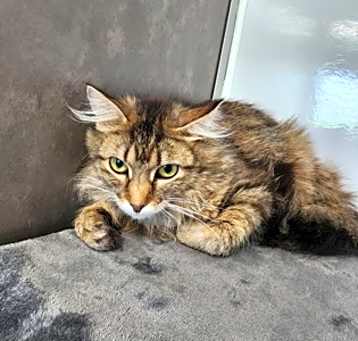Photo of Jueles