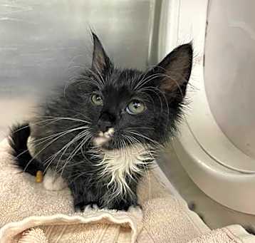 Photo of 25-487C