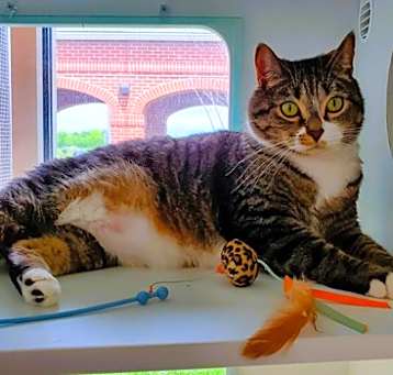 Photo of Charlie