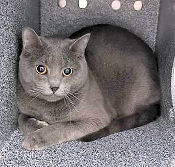 Photo of TNR-4