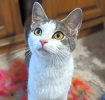 Photo of Lulu