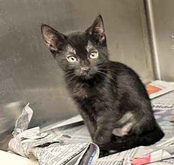 Photo of Marconi