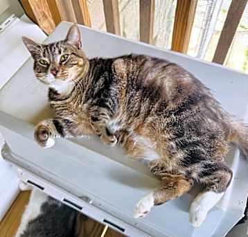 Photo of Maisy