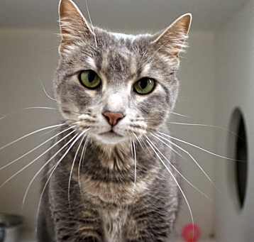Photo of Lola Lu