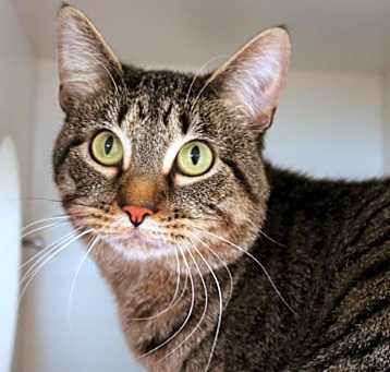 Photo of Zaick