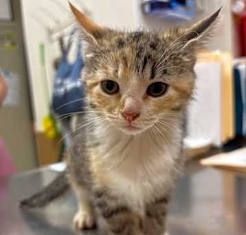 Photo of Poppy McIlroy