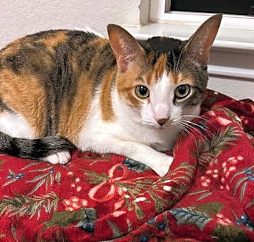 Photo of Margot