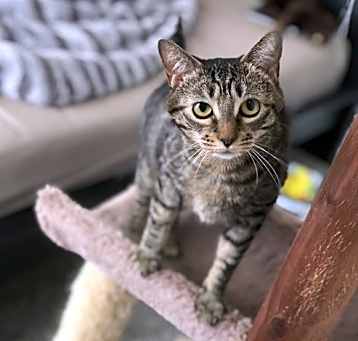 Photo of Kiwi (New Digs)