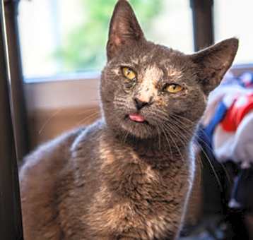 Photo of Jolene