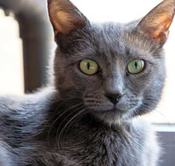 Photo of Gamble