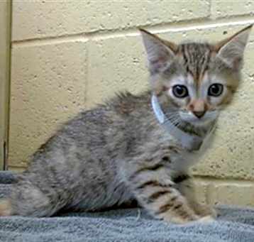 Photo of MIDDLEMARCH