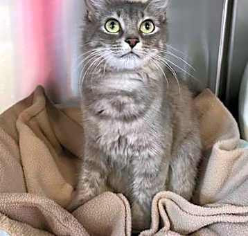 Photo of Bonnie