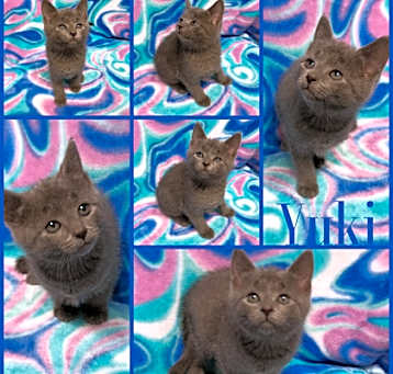 Photo of Yuki