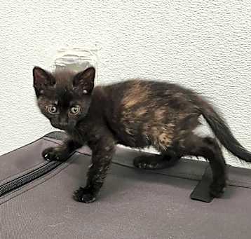 Photo of Wilma