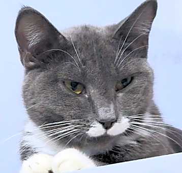 Photo of Andy