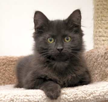Photo of Mavis