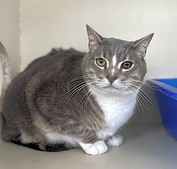 Photo of Eris
