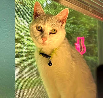 Photo of Duchess Marie