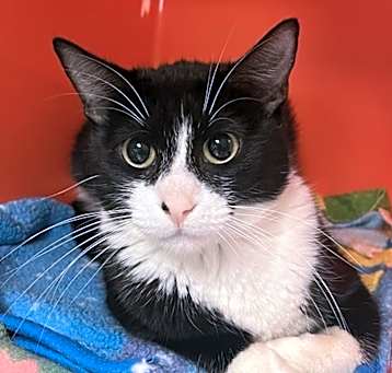 Photo of Sandy