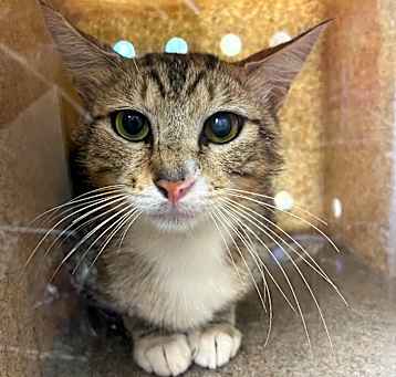 Photo of TUSC-Wildlife-80436
