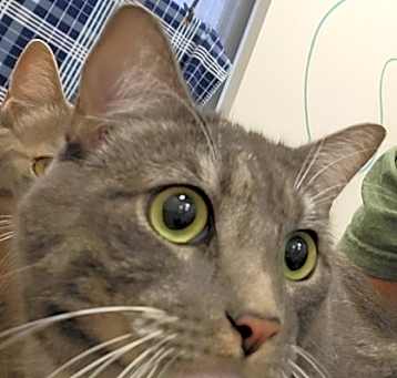 Photo of Boots