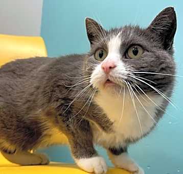 Photo of Marsha