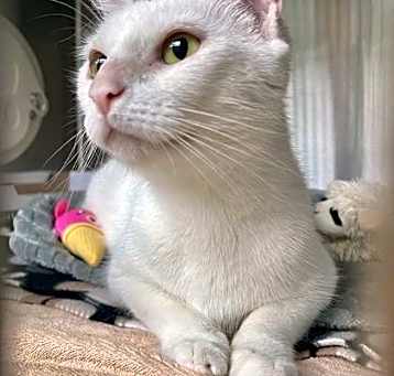 Photo of Simone