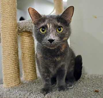 Photo of Fiona