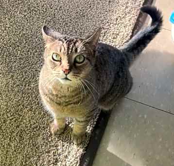 Photo of Munchie