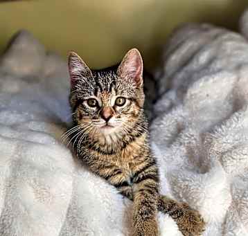 Photo of Chloe - *Available 5/16* Costa Mesa Location