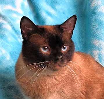 Photo of Sam