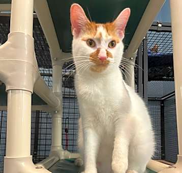 Photo of Tabasco