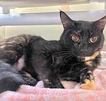 Photo of Charity