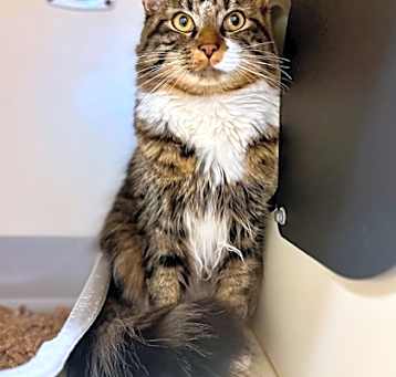 Photo of Einstein~25/26-0012